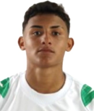 GUSTAVINHO