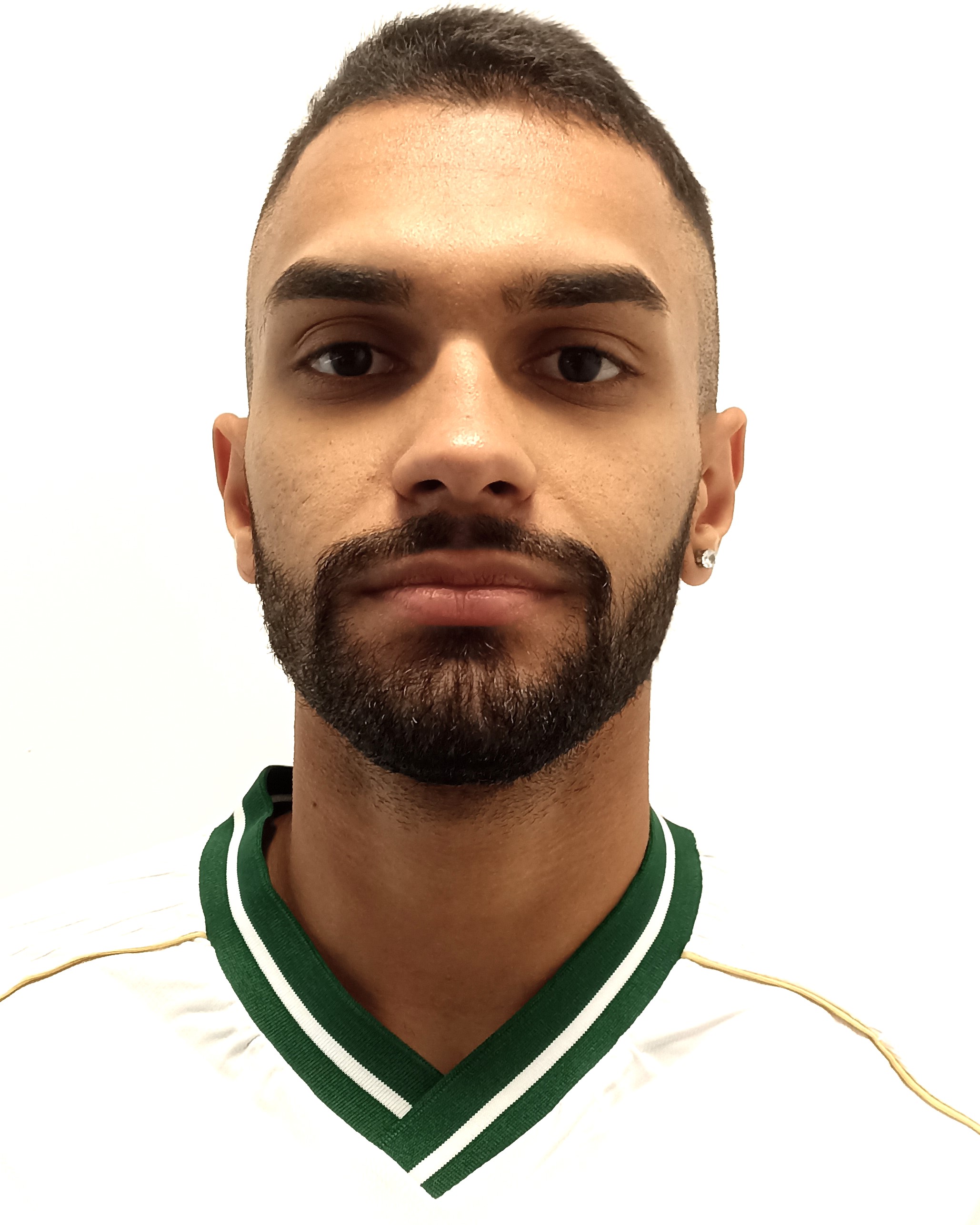 VINI PAULISTA